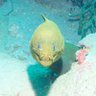 CryptoDiver 的头像