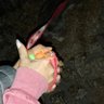 Micaela Gandolfo's profile picture