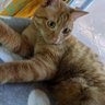 うっちー 的头像