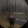 kai profil fotoğrafı