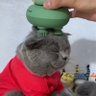 浅瀬アツシ 的头像