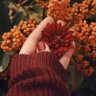 ملكه's profile picture