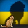 Фото профиля Динар Динар