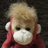 yonkoromonkey🐒's profile picture