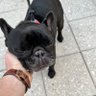de_dude profil fotoğrafı