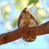 Hasan ateş profil fotoğrafı