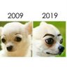 Фото профиля ❎Ⓜyour favorite memes dealerⓂ❎