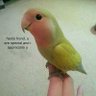 deazypz's profile picture