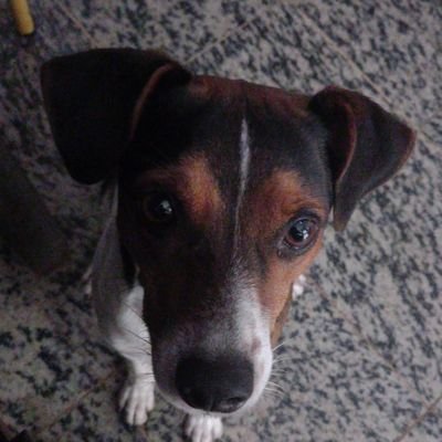 eduzzfps's profile picture