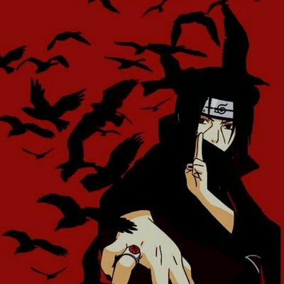 el_obino's profile picture