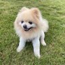 CB May's profile picture