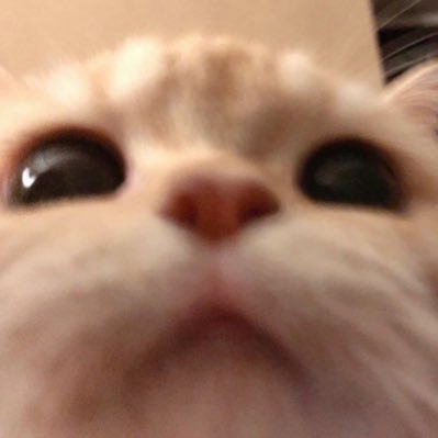 _B27s's profile picture