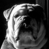 Profilbild von John JJ Smith
