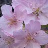 Фото профиля PON