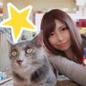 Profilbild von みこてぃん🍔ハンバーガー