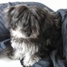 Lucy Dopson's profile picture