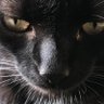 Фото профиля Brian