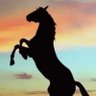 Фото профиля مشاوير خاصة