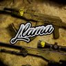Llama's profile picture
