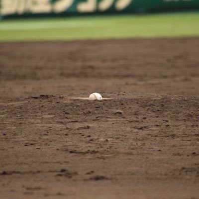 神奈川野球's profile picture