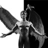 Vitali's profile picture