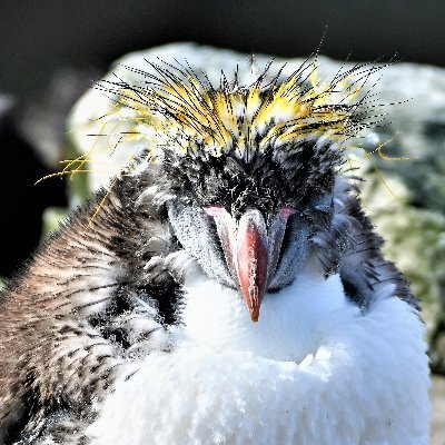 kelper60's profile picture