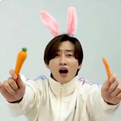 ju 🌸's profile picture