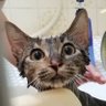 Фото профиля akarixのアンテナ