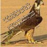 للمجد بقية 的头像