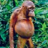 Profilbild von Tito Makani