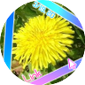 è²å
¬è±âïžððŸ's profile picture