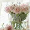 Jarochita 🌷❤ 的头像