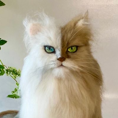 ちゃちゃき なな's profile picture