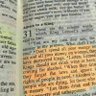 Фото профиля Ask the word!