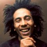 Profilbild von Bob 🇪🇸