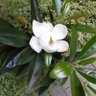 Фото профиля ケンダニエル