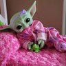 Kudur's profile picture