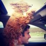 Ted Musha's profile picture