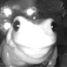 BigSkronk ๐'s profile picture