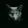 yumiko's profile picture