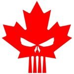 The Hawk 🇵🇱🇨🇦's profile picture