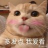 海盗狗 profil fotoğrafı
