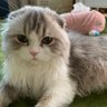 あっちゃん 的头像