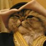 Фото профиля Azzam