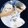 Profilbild von 悠