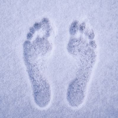 ThefeetShow's profile picture
