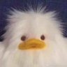 zhisansi's profile picture