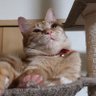 こうた's profile picture
