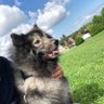 Profilbild von Lonerguy@13