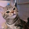 Фото профиля feiiii